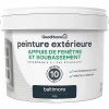 boutiqued en ligne Castorama Peinture Appuis De Fenêtre GoodHome Baltimore 2,5L 7