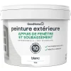 Castorama Peinture Appuis De Fenêtre GoodHome Blanc 2,5L qualité d’originales 7