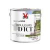 prix le plus bas Castorama Peinture Bois Couleurs D’ici Blanc Délicat Velours V33 2L 5