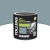 Castorama Peinture Bois Extérieur Premium Acier Satin Tollens 0,5L SOLDES TOUT À 7