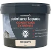 Castorama Peinture Façade Autonettoyante Premium GoodHome Ton Pierre 10L en france 5