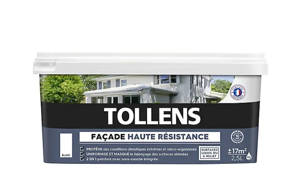 REMISE Castorama Peinture Façade Tollens Haute Résistance Blanc 2,5L 1