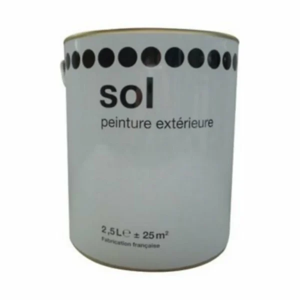 outlet soldes Castorama Peinture Sol Gris Satin 2,5L 1