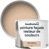 france en ligne Castorama Testeur Peinture Façade Dominica GoodHome Ocre Rose Mat 350ml 5